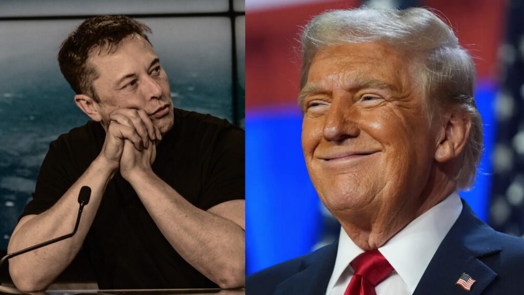 Why does Elon Musk support Donald Trump so much?