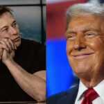 Why does Elon Musk support Donald Trump so much?