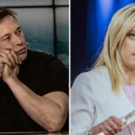 Giorgia Meloni & Elon Musk: Truth Behind the Viral AI Video