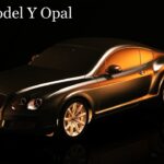 Elon Musk Reveals 2025 Model Y Opal Hit The Market