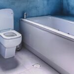 Elon Musk Unveils First $6,000 Electric Tesla Toilet for American Families