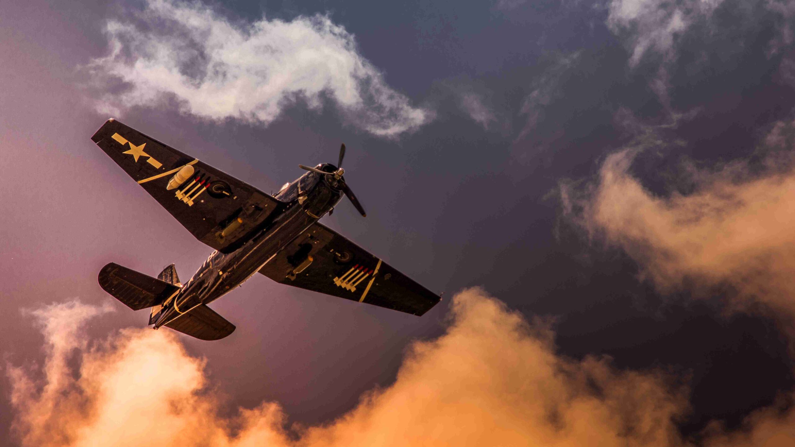 End of China? Elon Musk Reveals Tesla’s $75,759 Electric Plane for Everyone