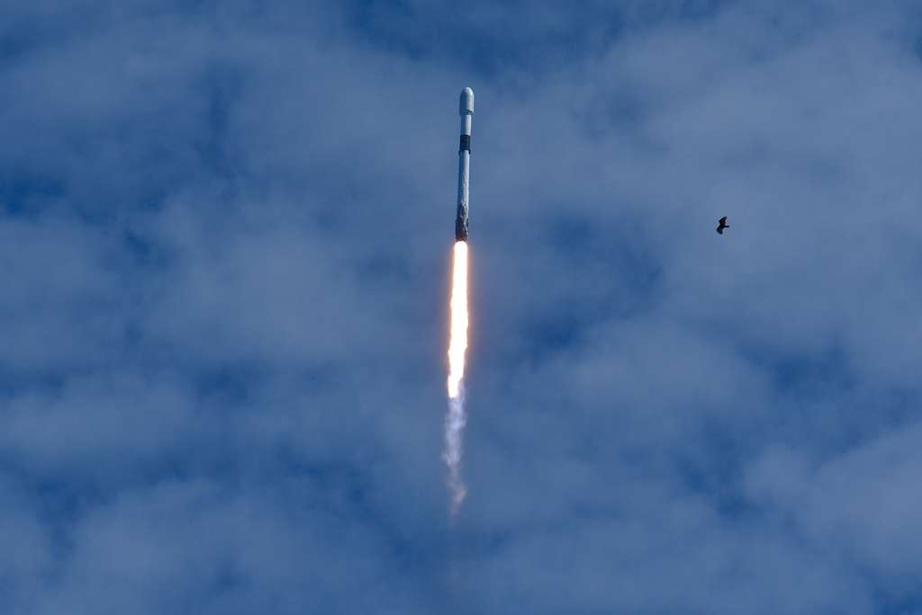 SpaceX